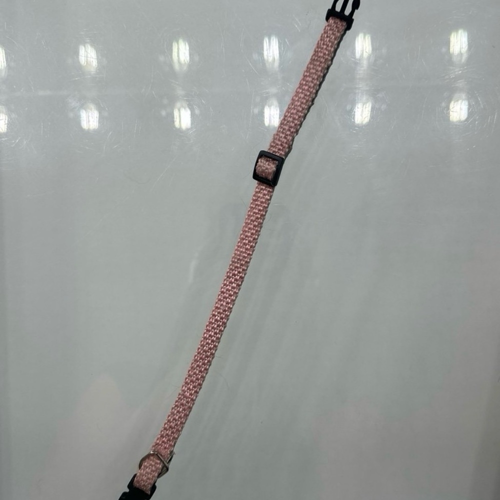 Pink dog collar